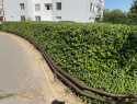 IMG_0950.jpeg