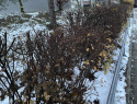 IMG_5380.jpeg
