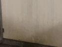 IMG_5988.jpeg