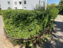 IMG_0949.jpeg