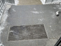 IMG_5414.jpeg
