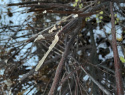 IMG_5384.jpeg