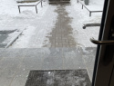 IMG_5413.jpeg