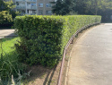 IMG_0952.jpeg