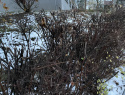 IMG_5381.jpeg