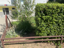 IMG_0951.jpeg