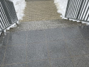 IMG_5455.jpeg