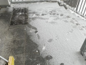 IMG_5407.jpeg